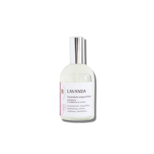 Lavanda